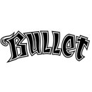 Bullet Skateboards