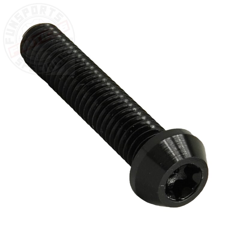 Aluschraube M5x25 Torx T25 schwarz