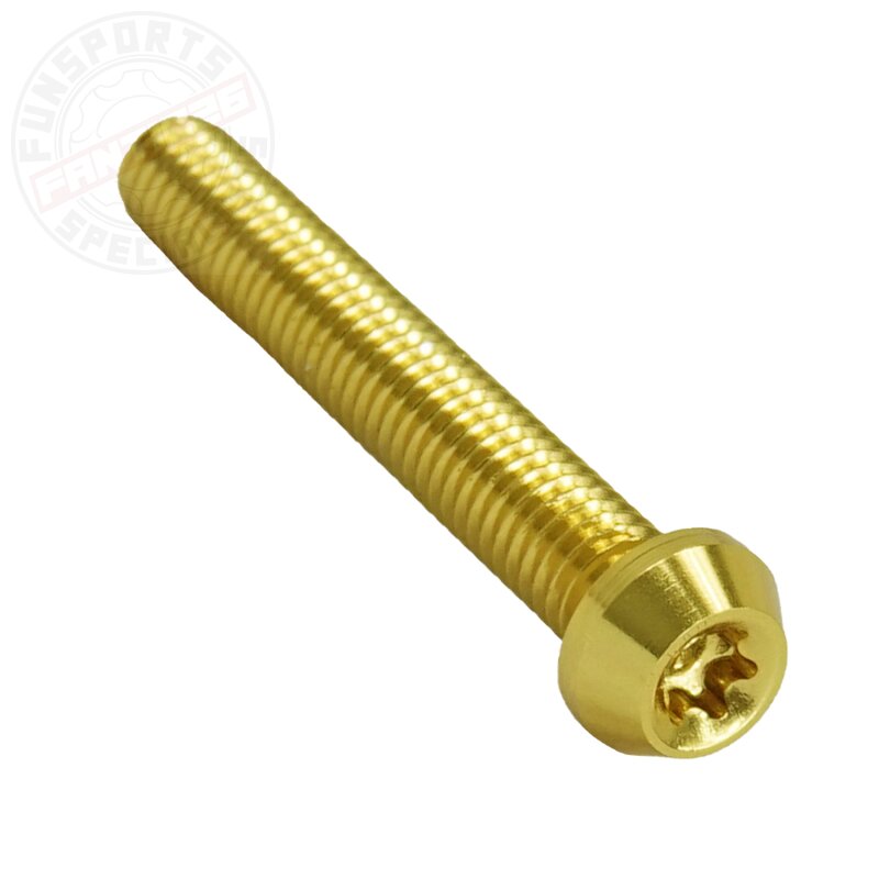 Aluschraube M5x30 Torx T25 gold