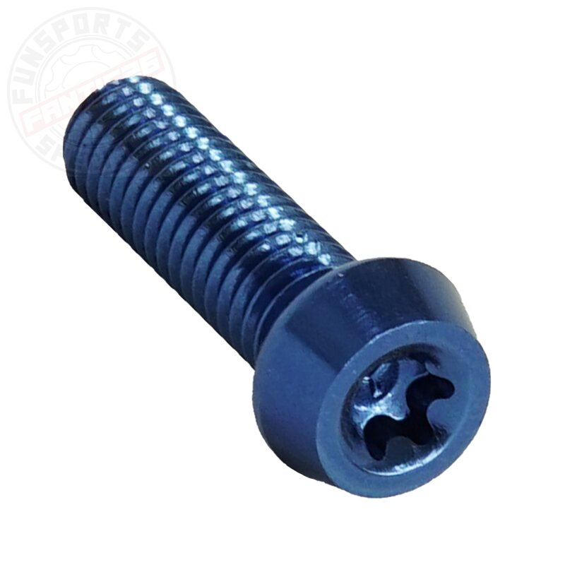 Aluschraube M5x20 Torx T25 blau