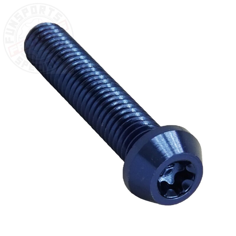 Aluschraube M5x25 Torx T25 blau