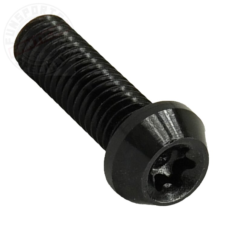 Aluschraube M6x20 Torx T25 schwarz