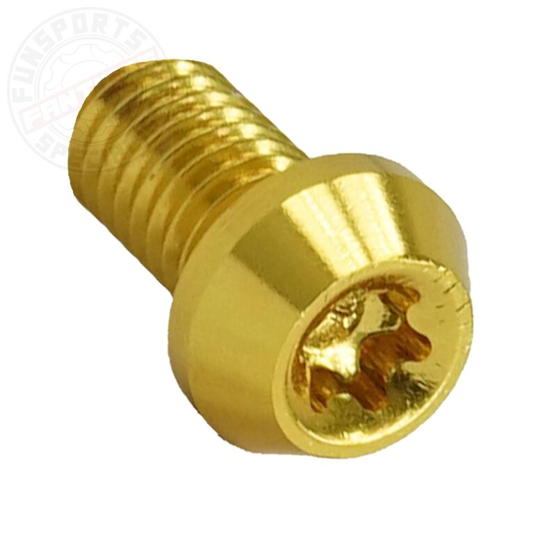 Aluschraube M6x10 Torx T25 gold