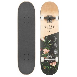 Globe G1 Insignia Skateboard 7,75 x 31 Maple / Thornbush