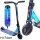 Root Industries Type R Mini Stunt-Scooter H=74cm Neochrom