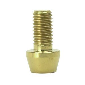 Titan M8x15 Schraube DIN912 konisch gold