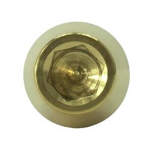 Titan M8x15 Schraube DIN912 konisch gold