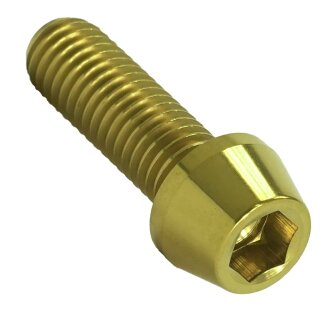 Titan M8x25 Schraube DIN912 konisch gold