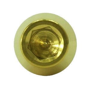 Titan M8x25 Schraube DIN912 konisch gold