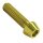 Titan M8x30 Schraube DIN912 konisch gold