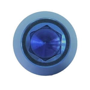 Titan M8x20 Schraube DIN912 konisch blau