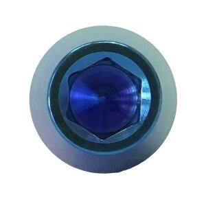 Titan M8x30 Schraube DIN912 konisch blau