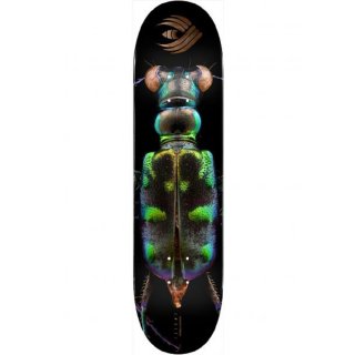 Powell-Peralta Skateboard Deck Flight Pro Shape 248 8,25 Tiger Beetle
