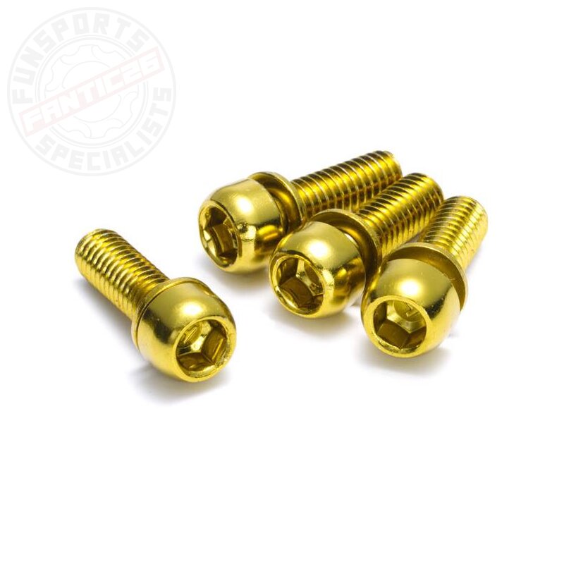 Reverse M6x18 Stahlschraube für Scheibenbremsen (4 Stk.) Gold