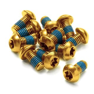 Reverse M5x10 Torx Bremsscheiben Disc Befestigungsschrauben (12er Set) gold