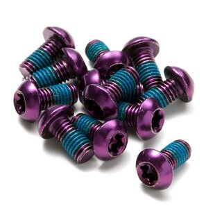 Reverse M5x10 Torx Bremsscheiben Disc Befestigungsschrauben (12er Set) lila