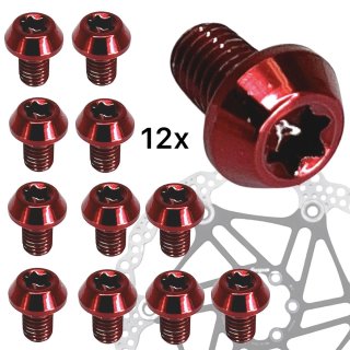 VGEBY Titanlegierung Torx Bolzen Schrauben Scheibenbremse Rotor Für Fahrrad  Mountainbike Motorrad 12-fache Set