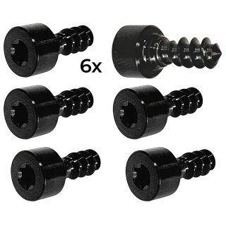 Titan Tankdeckel Schrauben Set für Audi TT/-S/-RS 8S (6Stk.) Schwarz