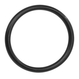 Bosch O-ring für Lockring Active Line Plus Performance (BDU3xx)
