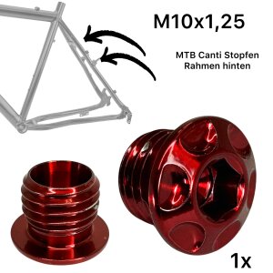 F26 TITAN CNC Motorrad Spiegel / Canti Rahmen Stopfen M10...