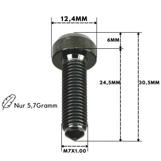 Titan / RaceTi BBS RS / RX Felgenschrauben M7 X 24 Mm – Geschmiedet, CNC-Kopf, Gewalzgewinde, GOLD