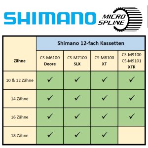 Shimano Deore SLX XT XTR MTB Ebike Micro Spline Kassetten Verschleiß Ersatz Ritzel