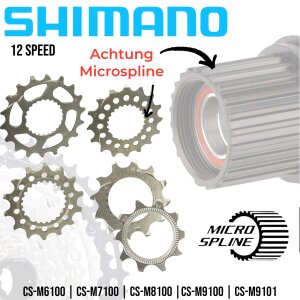 Shimano Deore SLX XT XTR MTB Ebike Micro Spline Kassetten Verschleiß Ersatz Ritzel