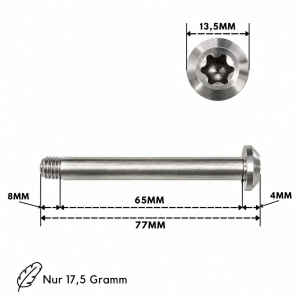 Fantic26 M8x73mm Titanschraube für Ethic Pandemonium V2 Hinterachse