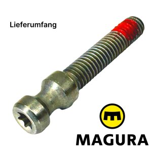 Magura M6 Schnellspanner-Schraube Torx HS11 Hs22 Hs33...