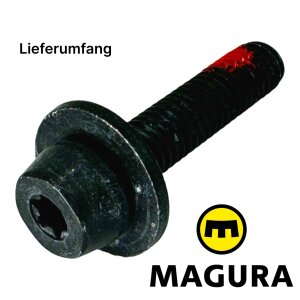 Magura M6 Torx T25 Befestigungsschraube für...
