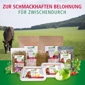 Stiefel Hagebutte Ganze Früchte gesundes Leckerli