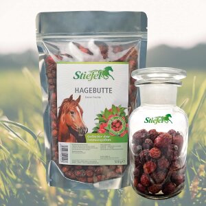 Stiefel Hagebutte Ganze Früchte gesundes Leckerli 500g