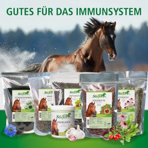 Stiefel Hagebutte Ganze Früchte gesundes Leckerli 500g