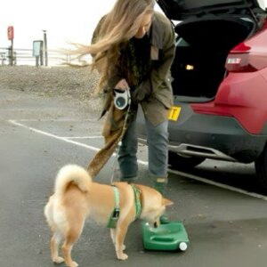 Porta Bowl Hunde Reise Napf Tragbarer Wasserspender Jäger Grün 4 Liter