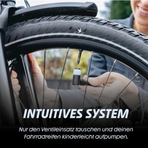 2x Schwalbe MTB Fahrrad Schlauch SCV 19 I 27,5" I 28" I 29" 2.4 Clik Valve Ventil 650B