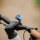QUAD LOCK Out Front Mount V3 Fronthalterung Fahrrad Lenker Handy Halter