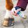 Stiefel Hufhärter 200ml stabilem und belastbarem Hufhorn