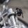 QUAD LOCK Motorrad Lenker Handyhalterung  PRO Chrome XL + Vibrationsdämpfer + MAG Universal Klebe Pad