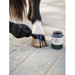 Kia Ora Equine Huföl Teebaumöl Schwarz 500ml Hufpflege