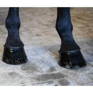 Kia Ora Equine Huföl Teebaumöl Schwarz 500ml Hufpflege