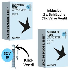 2x Schwalbe Marathon Plus MTB Ebike SG 29x2,25" 57-622  Reifen + SCV19 + F26 Reifenheber