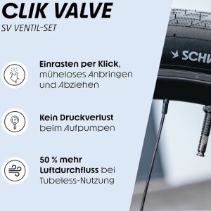 2x Schwalbe Marathon Plus MTB Ebike SG 29x2,25" 57-622  Reifen + SCV19 + F26 Reifenheber