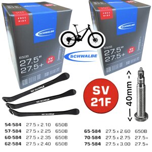 2 x Schwalbe Fahrrad-Schlauch SV21F Freeride...