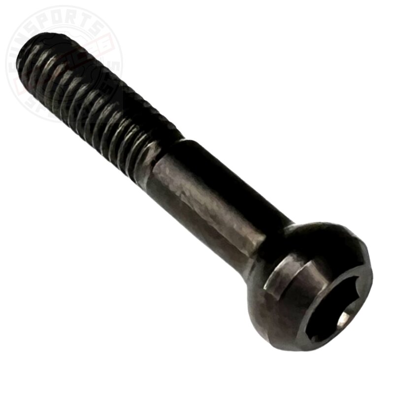 F26 M6x29 Titan SL Kindshock Lev Sattelstütze Ti Schraube schwarz