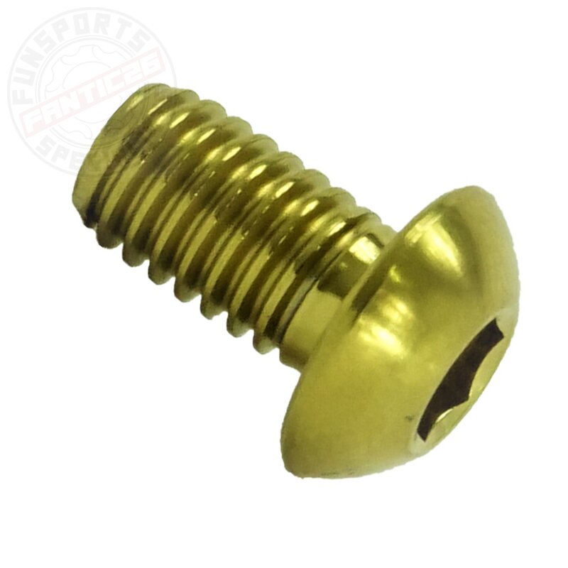 Titan M6x10 Linsenkopfschraube iso 7380 Gold