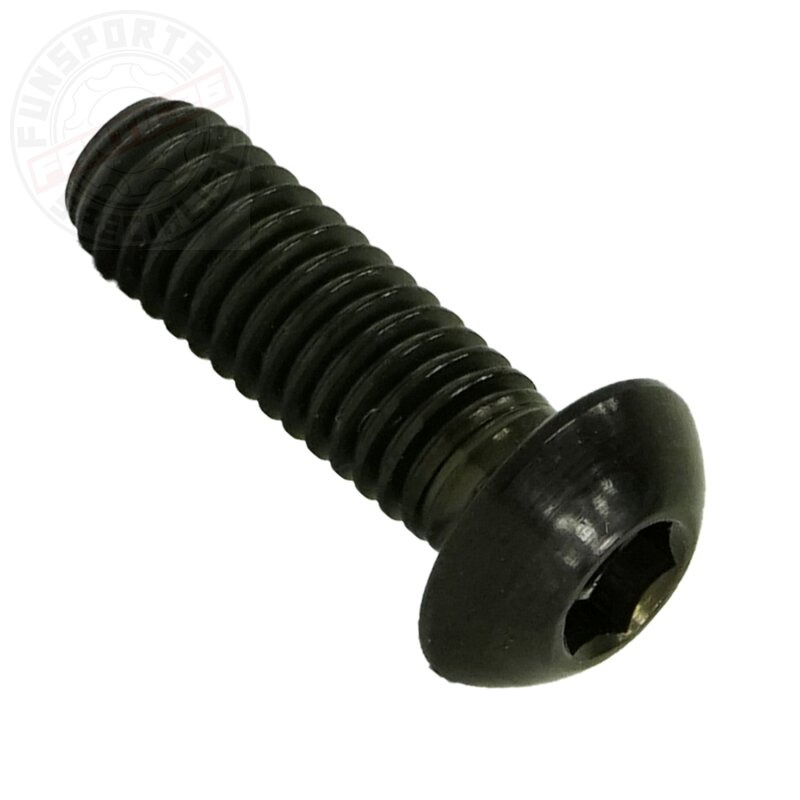 Titan M6x18 Linsenkopfschraube iso 7380 Schwarz