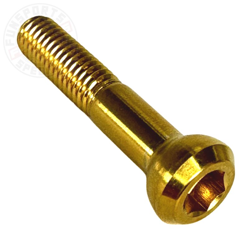 F26 M6x29 Titan SL Kindshock Lev Sattelstütze Ti Schraube gold