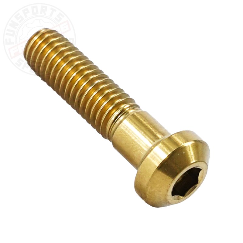 F26 M6x26 Titan SL Schraube Rock Shox Reverb Sattelstütze Gold