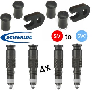 4 x SCV Ventiele (SV) Französisch